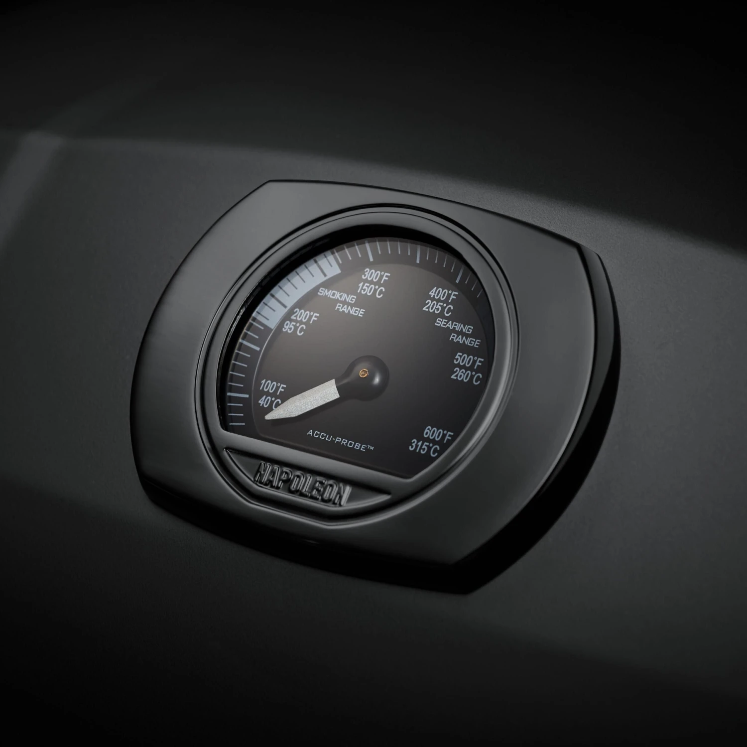 Napoleon Phantom TravelQ Pro 285X Met Stand Gasbarbecuematt Black 9 Napoleon Phantom TravelQ Pro 285X Met Stand Gasbarbecuematt Black - Image 7